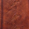 Skóra jesiotra Nova® Mat, Mahogany