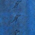 Skóra jesiotra Nova® Mat, Baikal Blue