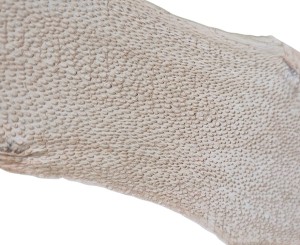Skóra zębacza Naya® Raw, Linen