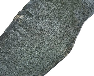 Skóra zębacza Naya® Raw, Ash